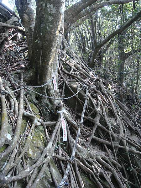 筆架山連峰 2009.02.12