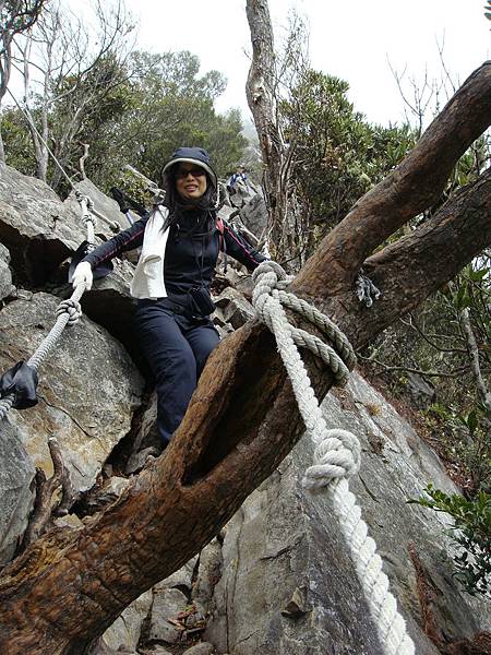 鳶嘴山 捎來山登山行2009.03.08