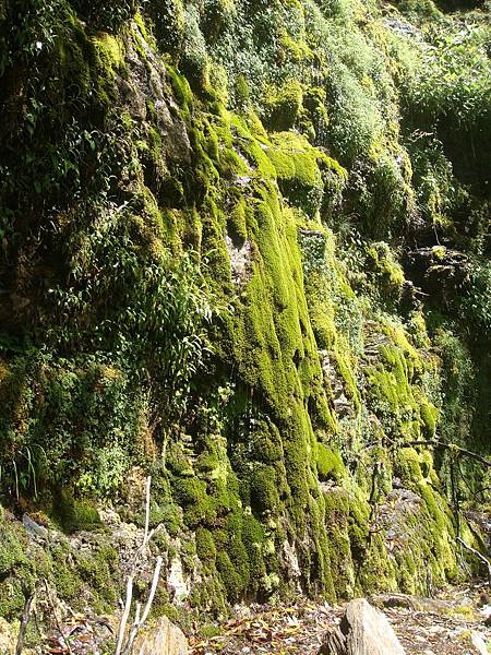 畢祿山　難忘之旅　2009.07.13　