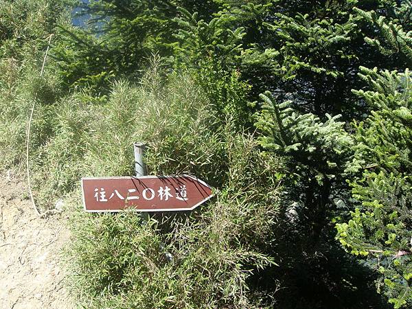 畢祿山　難忘之旅　2009.07.13　