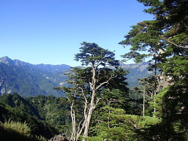 畢祿山　難忘之旅　2009.07.13　