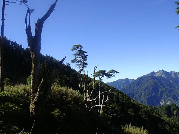 畢祿山　難忘之旅　2009.07.13　