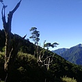 畢祿山　難忘之旅　2009.07.13　