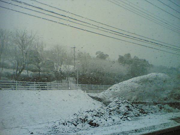 日本 福岡名水馬拉松