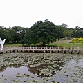 國家公園秋季 金門馬拉松 2010.10.09.