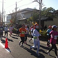 IMG_0177.jpg
