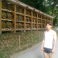 2009.09.23.東京跑遊