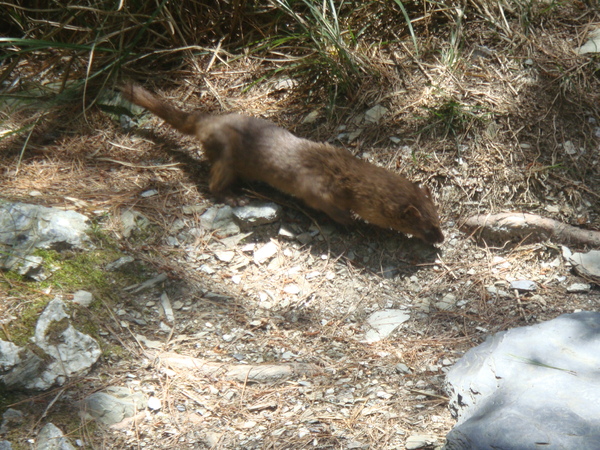 畢祿山　難忘之旅　2009.07.13　