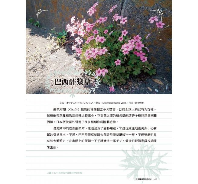 7月新書 縫隙中的花草世界 好讀出版部落格 痞客邦