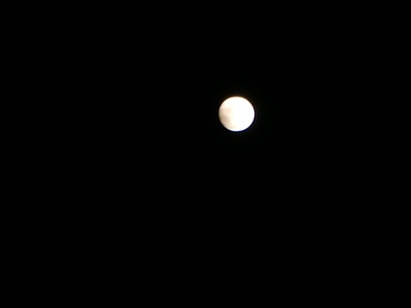 近年最圓最亮的月亮.JPG