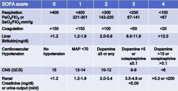 Icu筆記 1 Sequential Organ Failure Essment Sofa Score 蛹 評估的項目可以分成心肺肝腎腦凝血