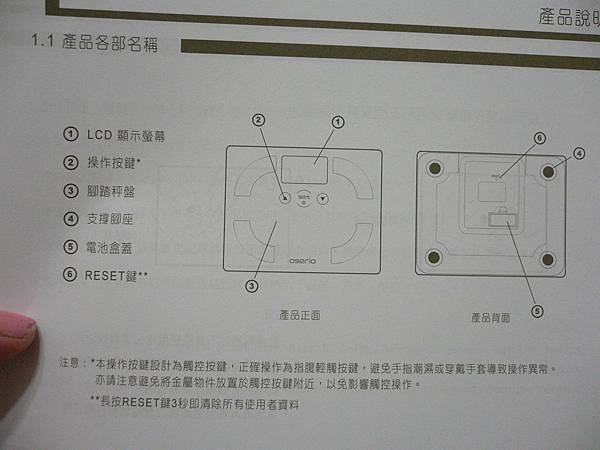 試用