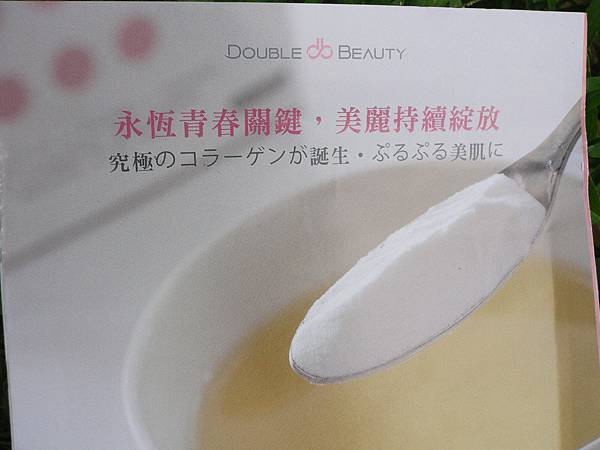 試用