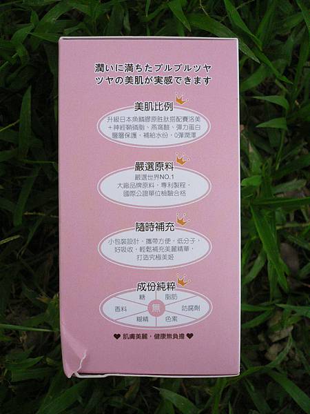 試用