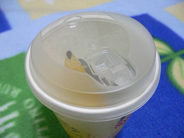 試用