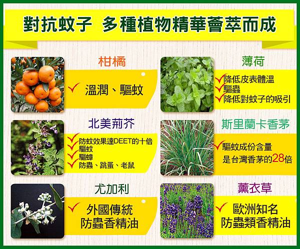 61341a45c6586368bb529d259072f61c5ed75a7ee03145b3309756e6e55a9c76.jpg 試用