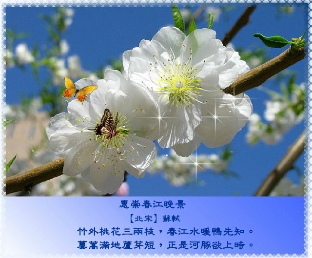 春風有意豔桃花，桃花無意惹詩情3.jpg