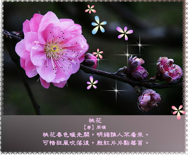 春風有意豔桃花，桃花無意惹詩情7.jpg