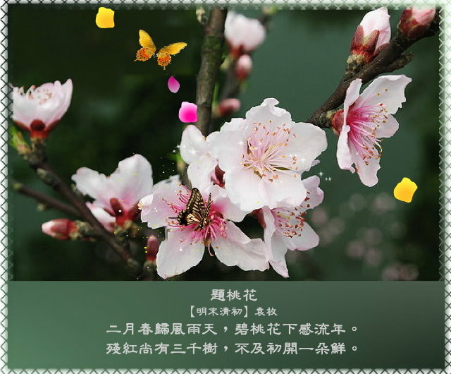 春風有意豔桃花，桃花無意惹詩情10.jpg