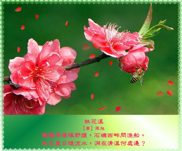 春風有意豔桃花，桃花無意惹詩情12.jpg