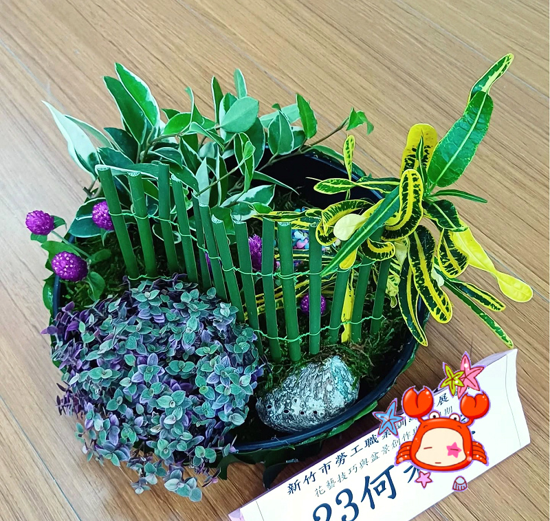 1140830-花藝與編織結合盆栽.jpg
