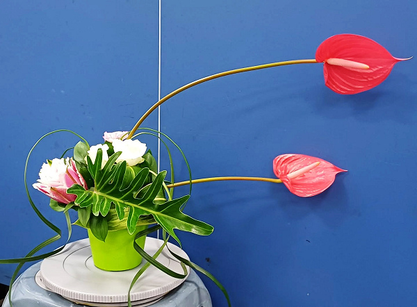 花藝技巧與盆景創作班~結構式曲線空間創作設計 114/9/2