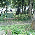 XtmuOEv3GVesweBmPP7qXQ