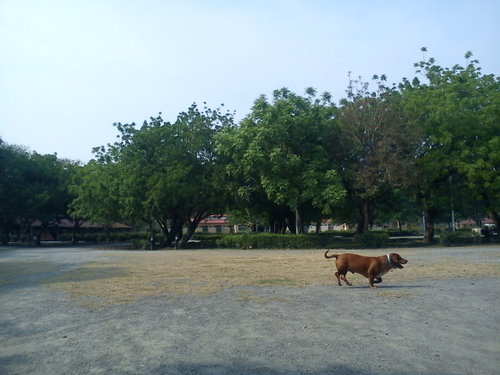 TiA5taJJUaw729f3w5eJOA