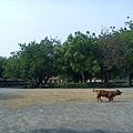 TiA5taJJUaw729f3w5eJOA