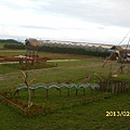 55