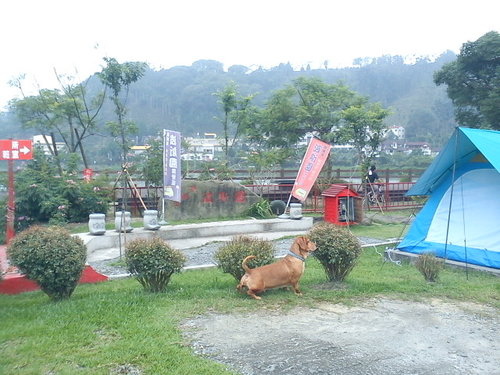 波斯園112.jpg