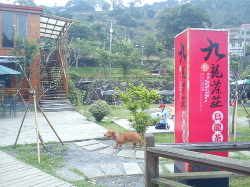 波斯園113.jpg