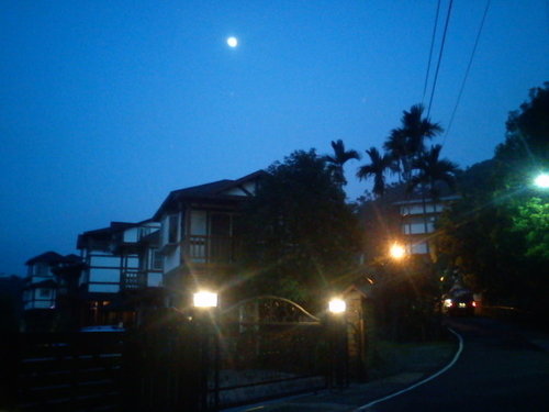 波斯園124.jpg