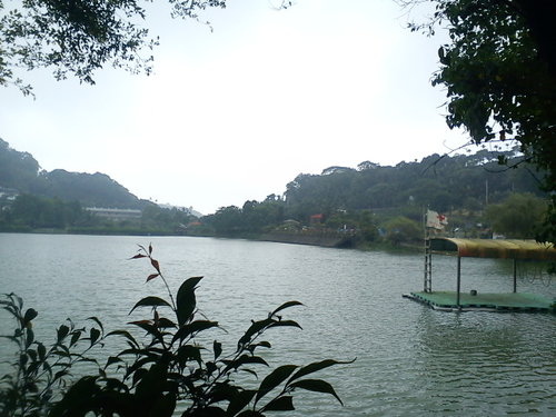 波斯園135.jpg
