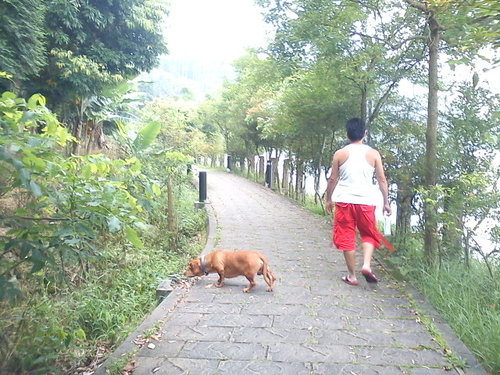 波斯園137.jpg