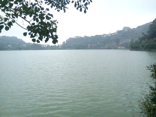 波斯園138.jpg