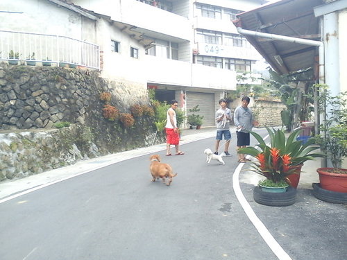 波斯園147.jpg