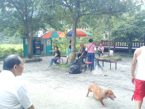 波斯園152.jpg