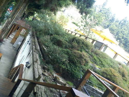 清境小瑞士花園46.jpg