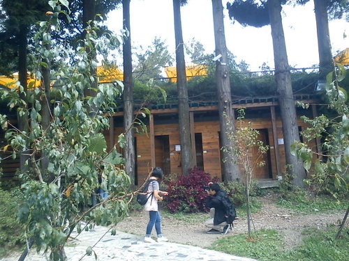 清境小瑞士花園54.jpg