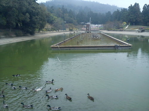 清境小瑞士花園67.jpg