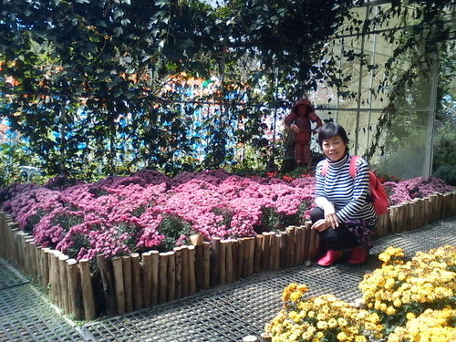 清境小瑞士花園74.jpg