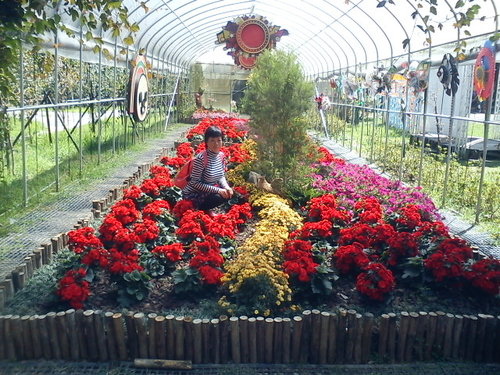清境小瑞士花園77.jpg
