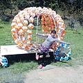 清境小瑞士花園88.jpg