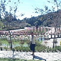 清境小瑞士花園89.jpg