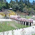 清境小瑞士花園92.jpg