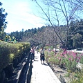 清境小瑞士花園93.jpg