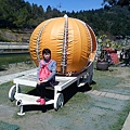 清境小瑞士花園99.jpg