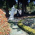 清境小瑞士花園100.jpg