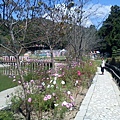 清境小瑞士花園102.jpg